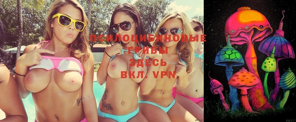 экстази Бородино