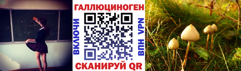 Галлюциногенные грибы мицелий  ссылка на мегу вход  Ачинск 