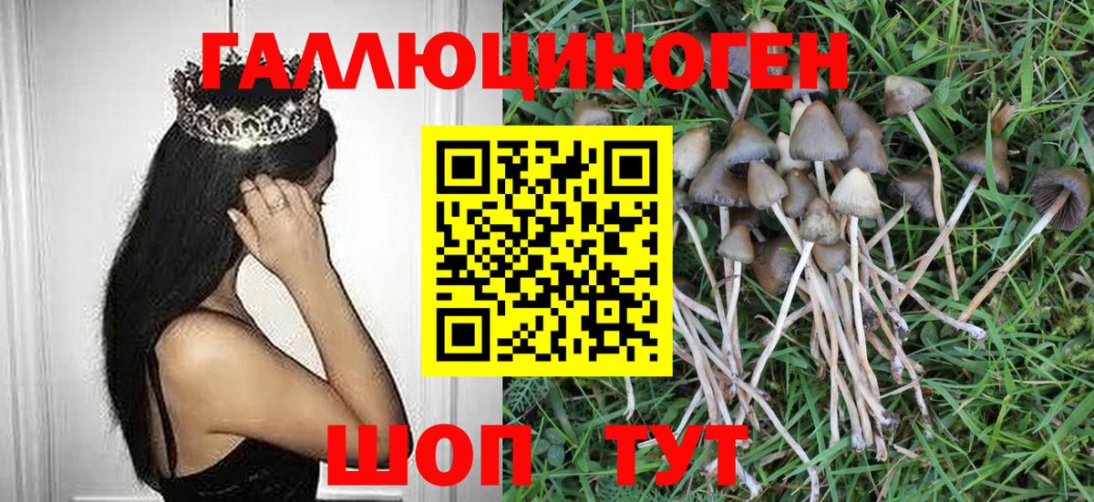 Псилоцибиновые грибы мухоморы Ачинск