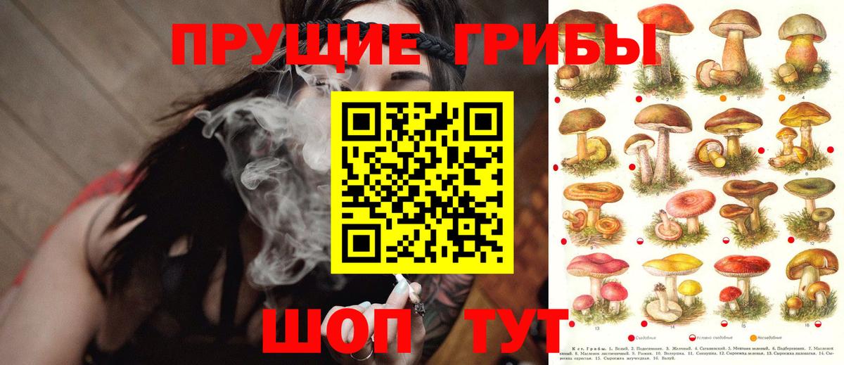 Псилоцибиновые грибы GOLDEN TEACHER  Галлюциногенные грибы GOLDEN TEACHER  Вход с VPN  Ачинск 